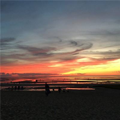 孙宪忠：生态环境法典法律责任制度的十个问题